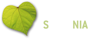 Logo Made In Slovenia