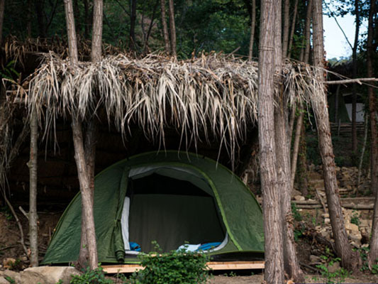 Camp-at-Sea